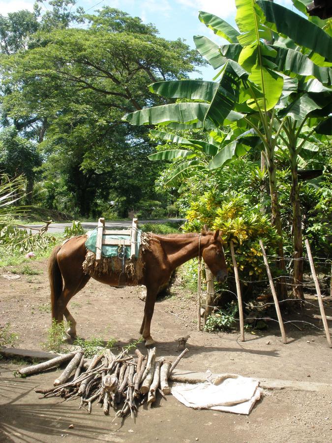 B&B, Family Run Homestay, Hospedaje La Penita Altagracia Exterior photo